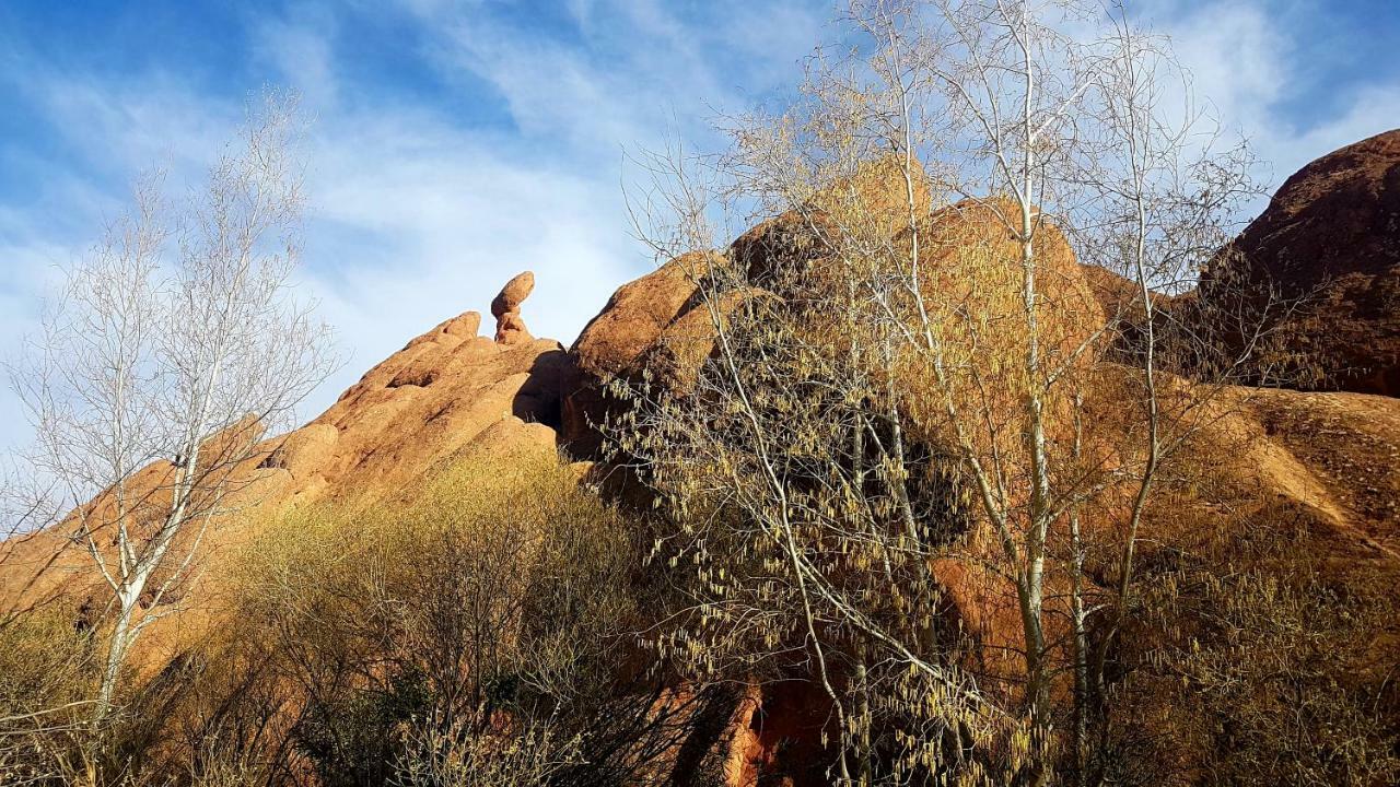 Auberge Kasbah Ait Marghad Tamellalt  Экстерьер фото
