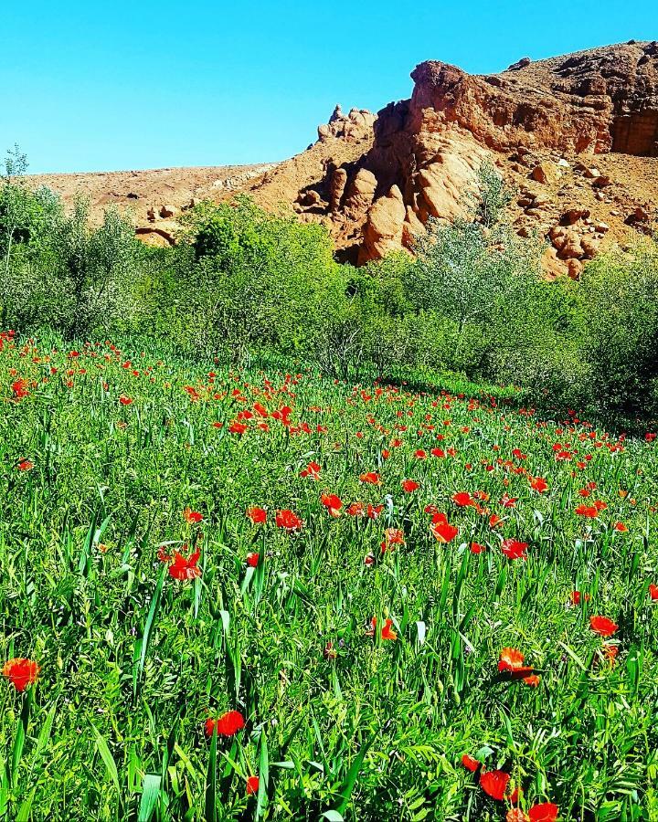 Auberge Kasbah Ait Marghad Tamellalt  Экстерьер фото